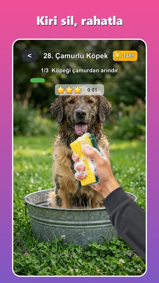 Çamurlu köpek: kiri sil, rahatla