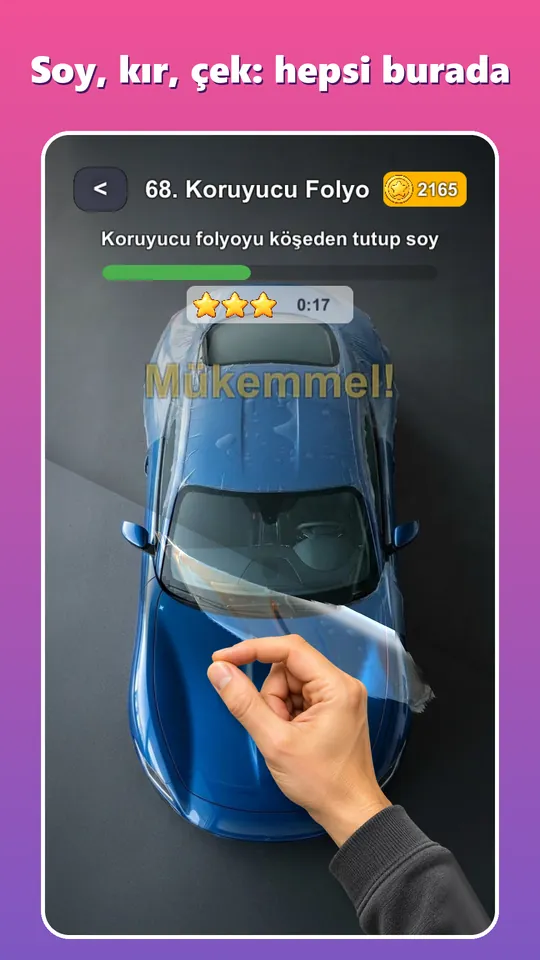 Koruyucu folyo: soy, kır, çek